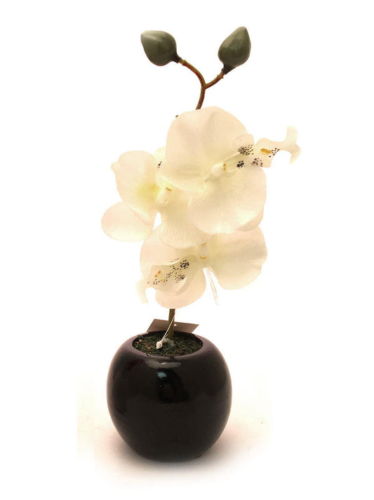 Artificial White Orchid in Black Pot 27cm